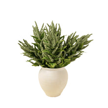 Potted artificial plant with green leaves in a white pot on a white background