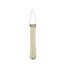 Clear glass tube shaped hanging vase on a white background