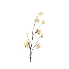 Artificial pear blossom flower branch with cream-coloured flowers on a white background