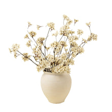 Artificial pear blossom flower branches with cream-coloured flowers in a vase on a white background