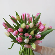 Handheld bouquet of pink and white tulips against a light background