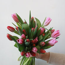 Handheld bouquet of pink and red tulips against a light background